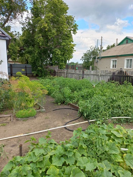 Продам дом в 100 км от Костаная