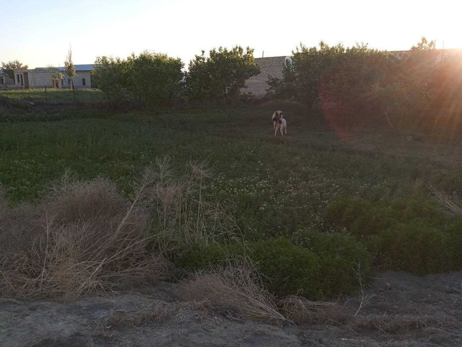 21 Sotixli hovli sotiladi