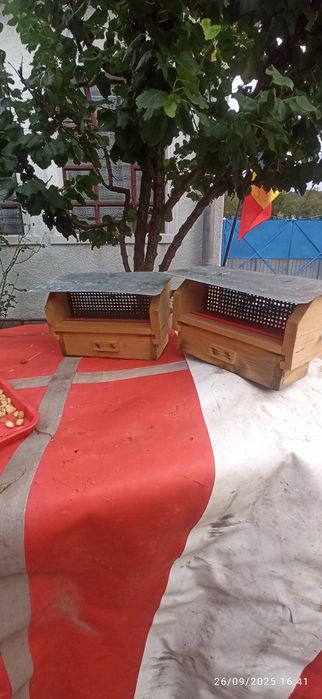 Vind colector polen tip Sălaj