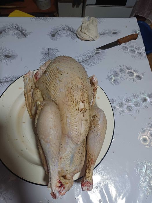 Продам мясо индюков
