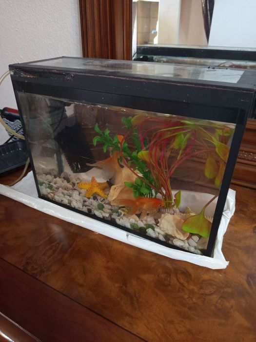 Продам аквариум 37х27х15 комплект