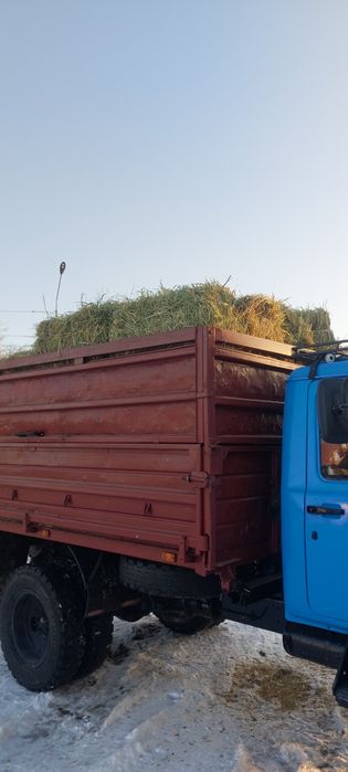 Сено в тюкаххххх