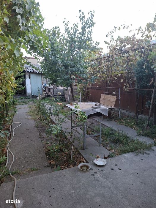 Casă Catargiu