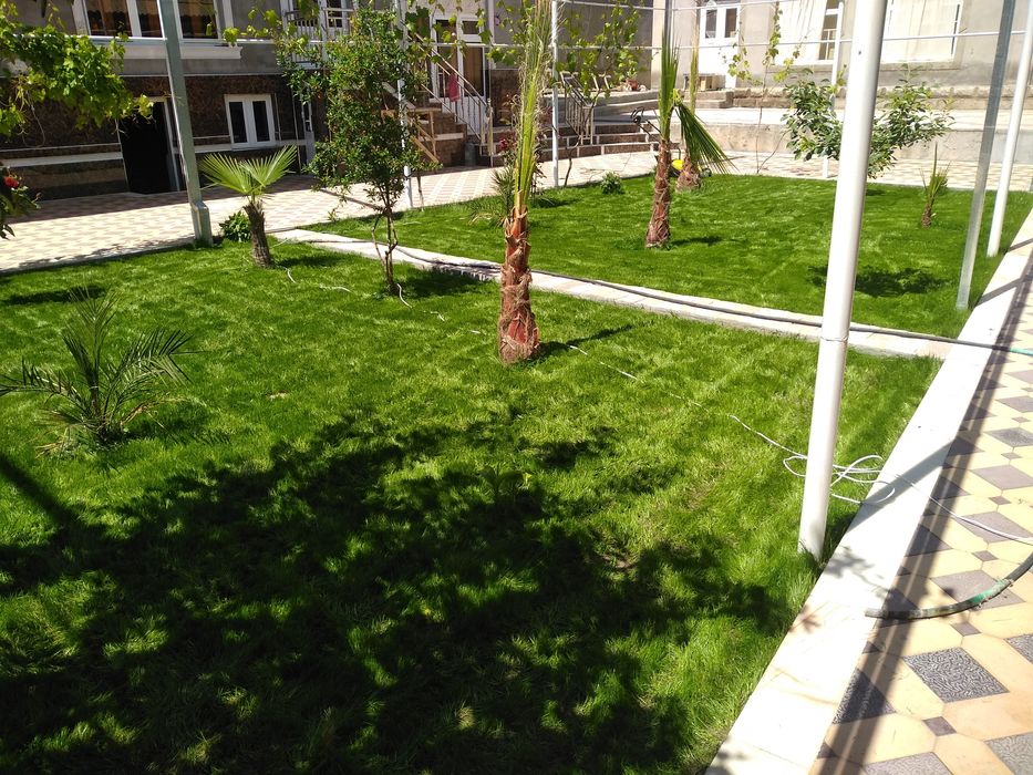 Tayyor Gazonlar bor 35000 sum kvadrati