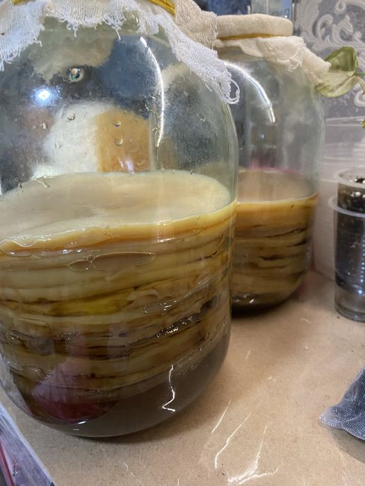 Продам чай гриб лечебный