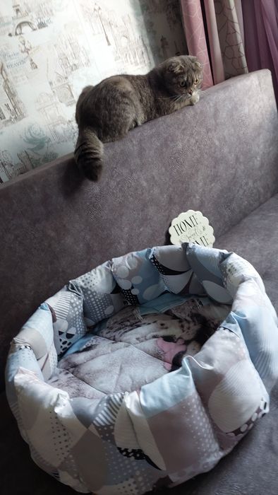 Продам лежанку для вашего питомца