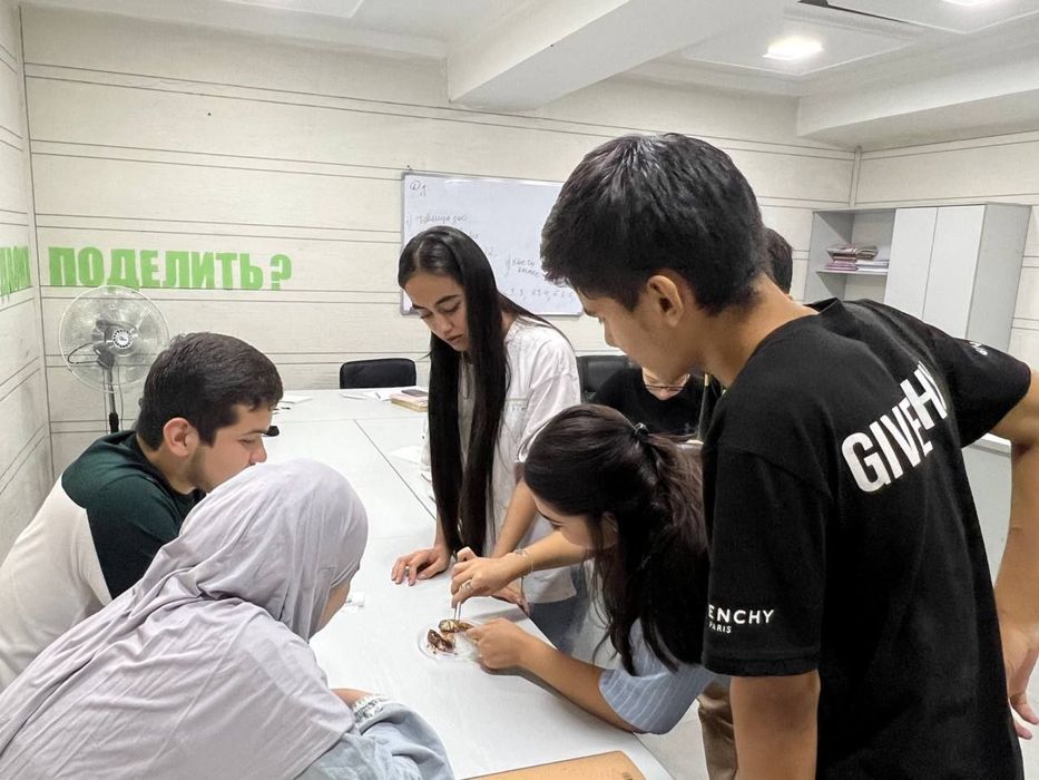 Учебный центр / репетитор биологии / биология / биолог / медицина