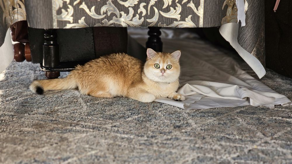 Gey parovoz porno video