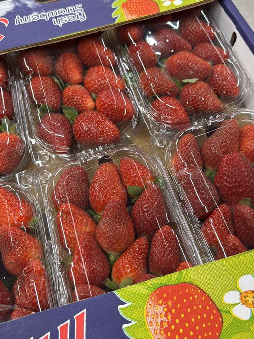 Клубника в шоколаде 6600тг