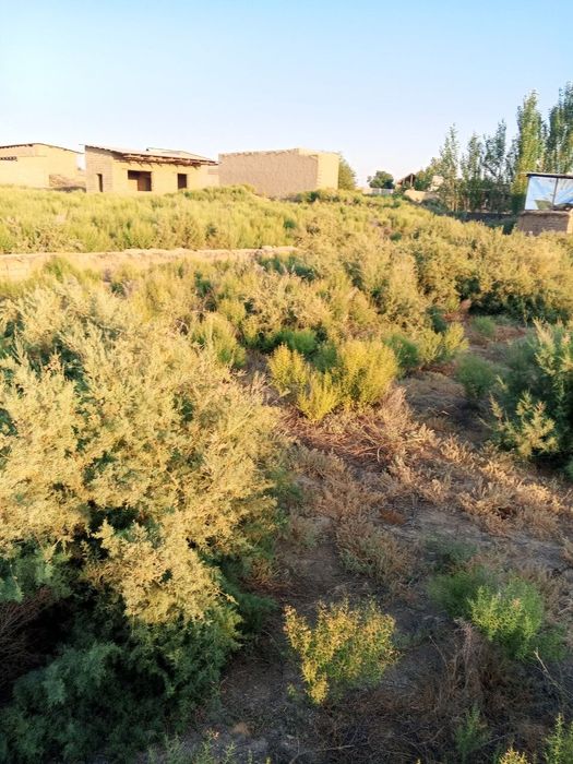 Qarshi tumani Yangibogda uchaska sotiladi