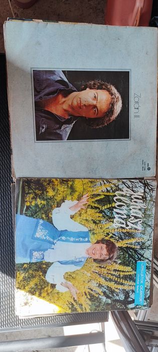 Disc vinil 27 mare sí 10 mic