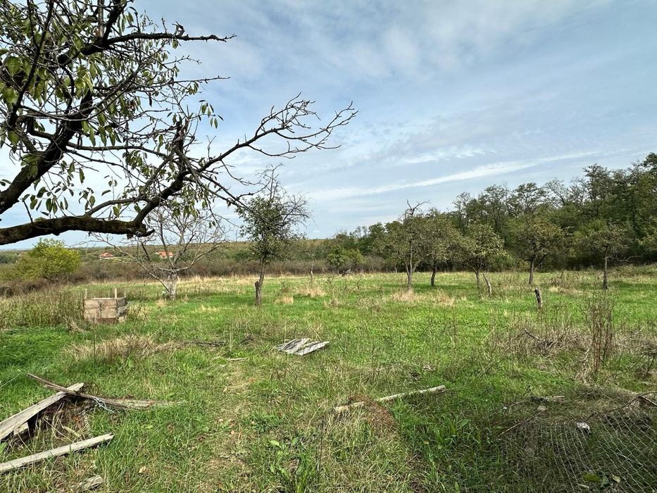 Ofer spre vanzare teren Intravilan în Viile Satu Mare