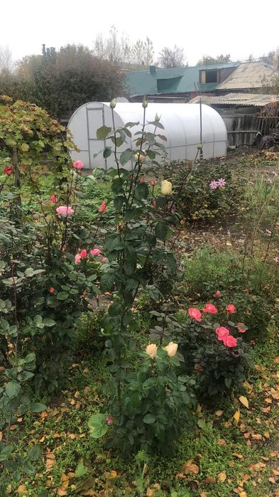 Продам 3х-комнатный дом