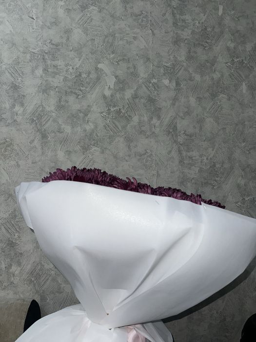Продам цветы астра свежий