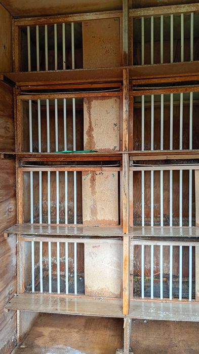 Boxe porumbei de vânzare