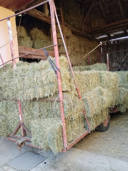 Vând baloti lucernă, a 2 și a 3 coasă