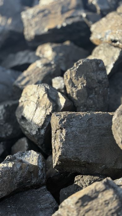 Уголь Шубарколь отворный