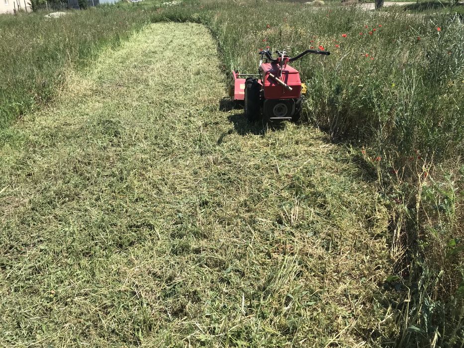 Defrisez Tai iarba Cosesc