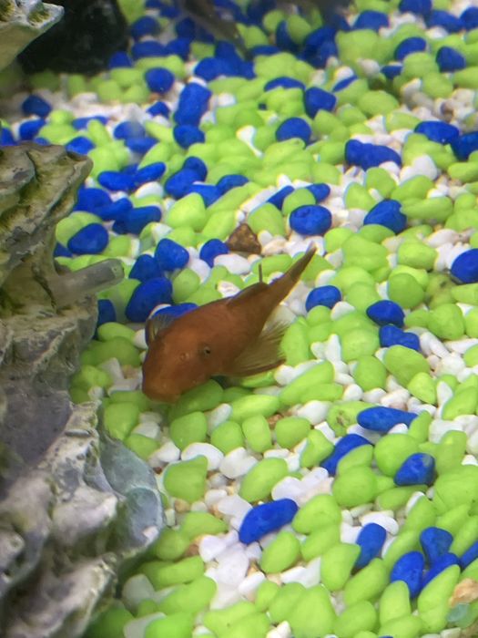 Аквариум RS Electrical 420 40л