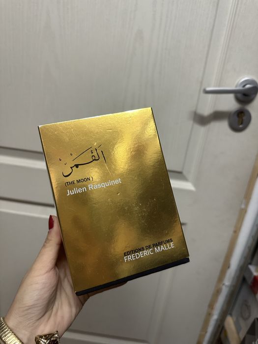 Dominique ropion the moon