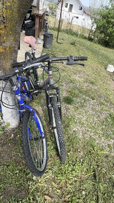 Vand trei biciclete