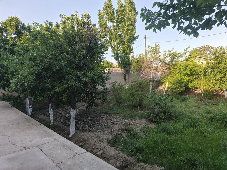 Бухоро шахарда участок