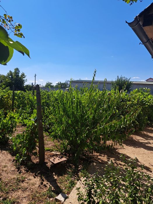 TEREN ~5.000 m² + CASĂ DE VÂNZARE – Bârlad