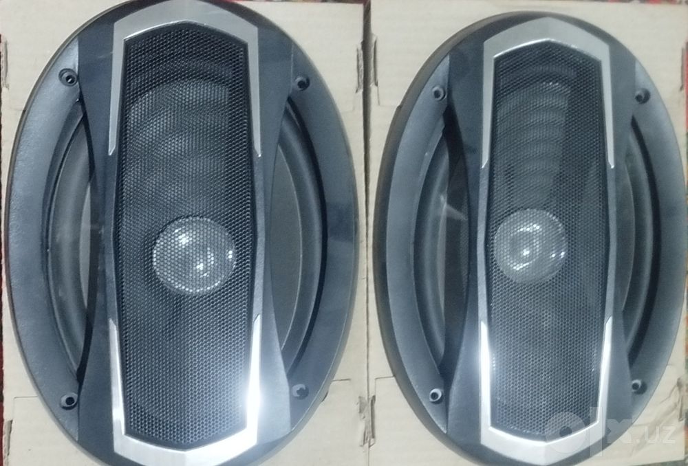 Pioneer kalonka sotilodi