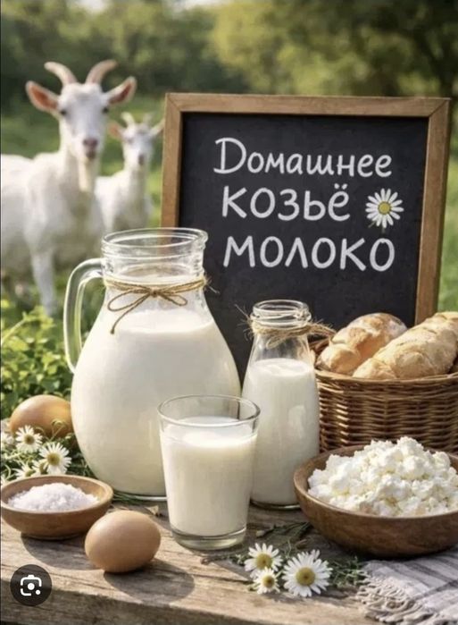 Ешкі сүті козье молоко