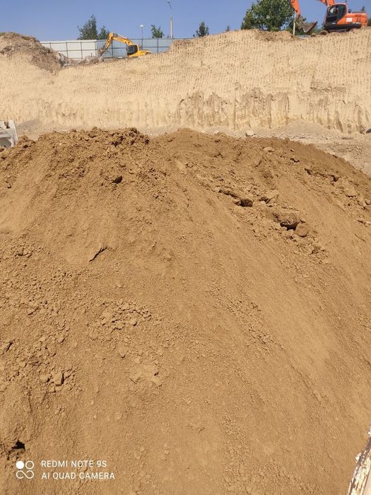 Buvilar porno jinsiy anal mushuk