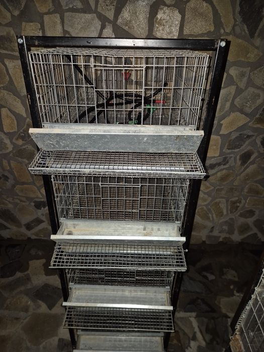 Prepelite cusca, incubator, maternitate