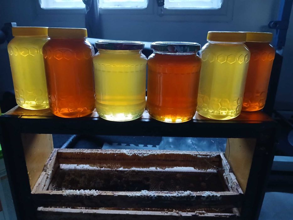 Miere de albine (salcam,poliflora de munte si mana)