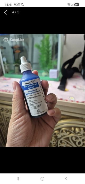 Аквариум с рыбками