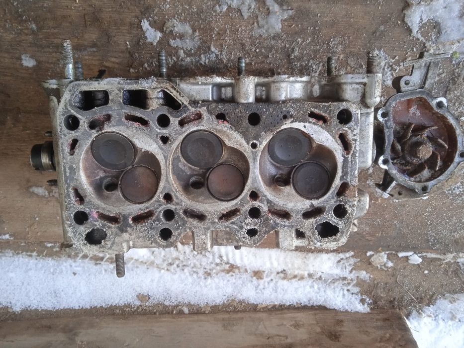 Тикога галовка..