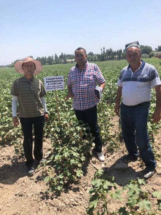 ОРГАНИК минеральные удобрения центнер оширади