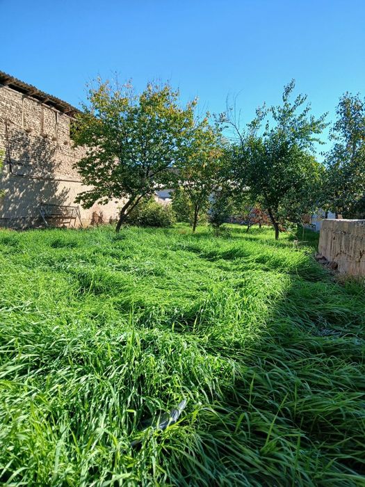 8 sutukli Uy sotiladi