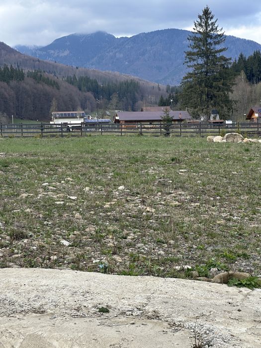 Camping Valea stanii