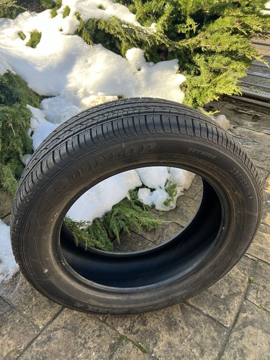 Cauciuri iarna pirelli