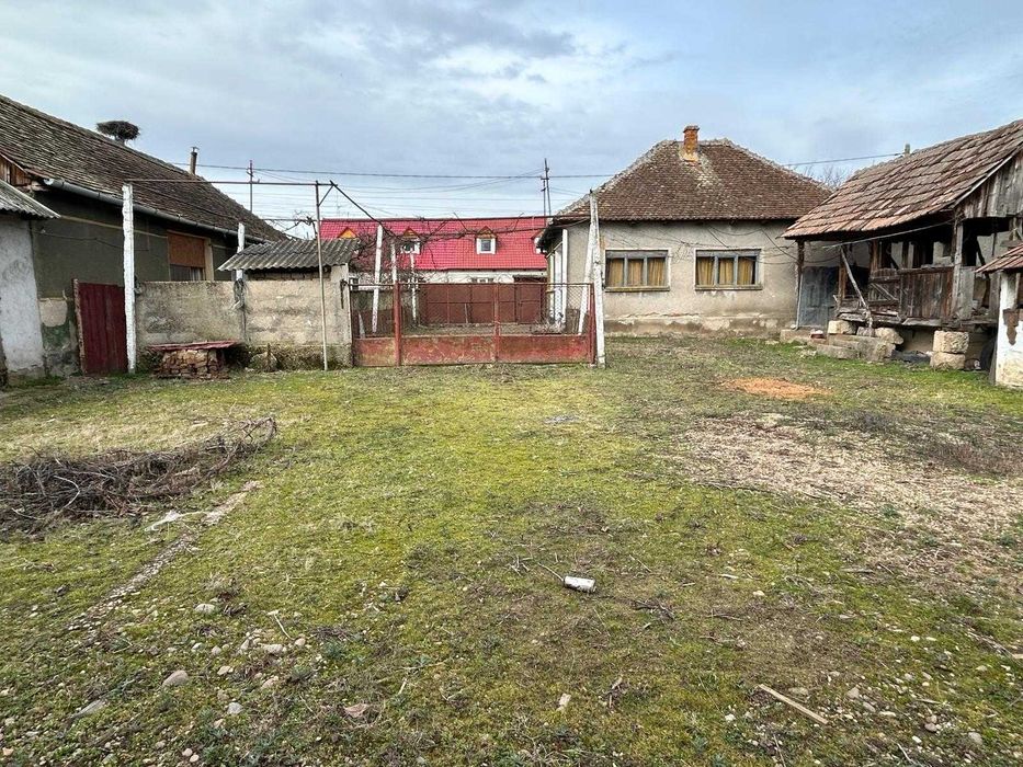 Casă Tăut cu 2 clădiri și teren generos (2507mp)