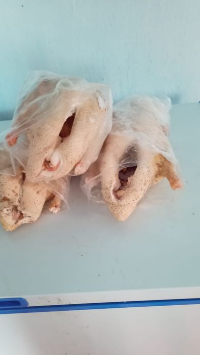 Продам мясо утки