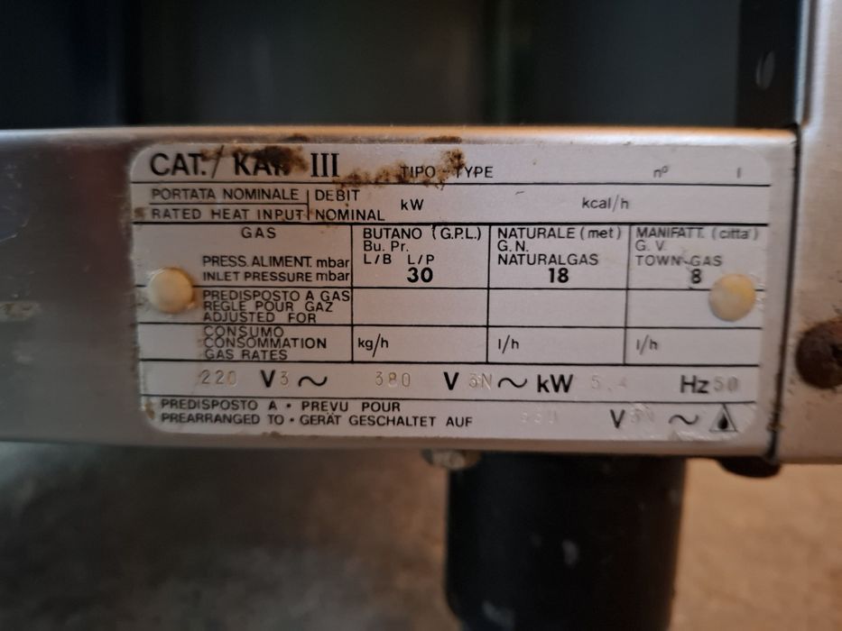 Grill electric profesional