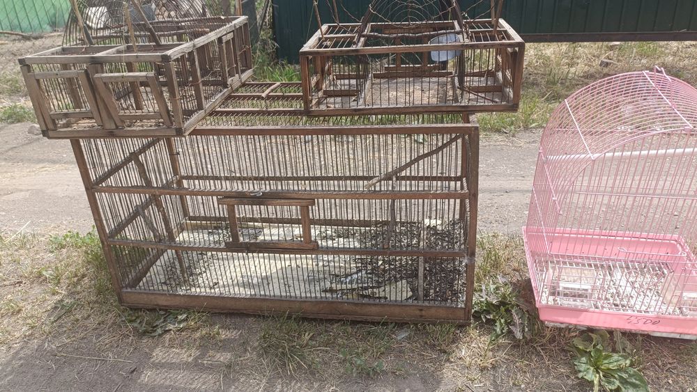 Клетки ловушки для птиц