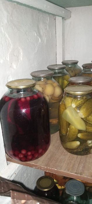 Все домашнего приготовления