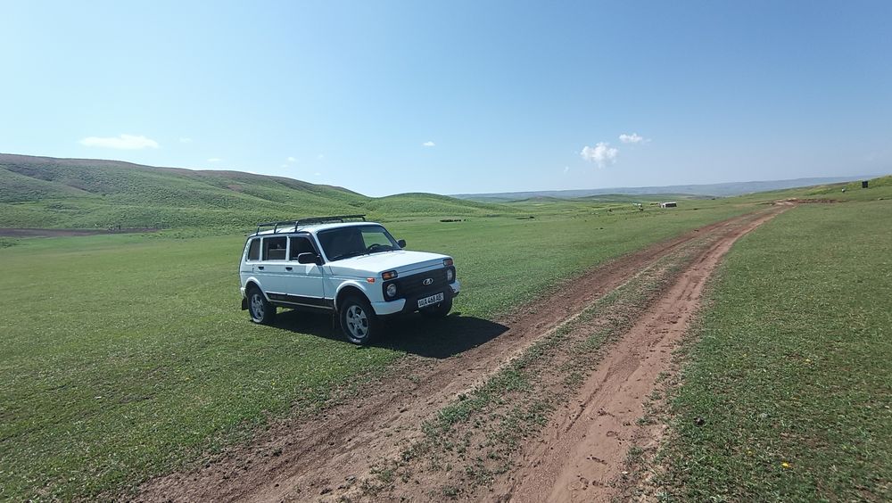 Нива урбан в отличном состоянии