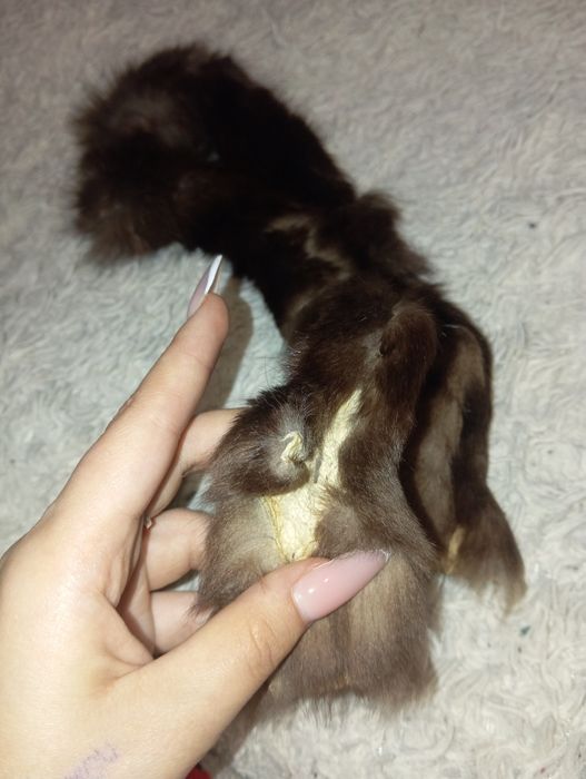 Продам кожу животных