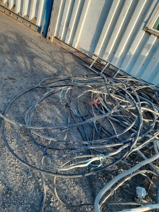 Тоқтар сатылады бәрі 40000 тг