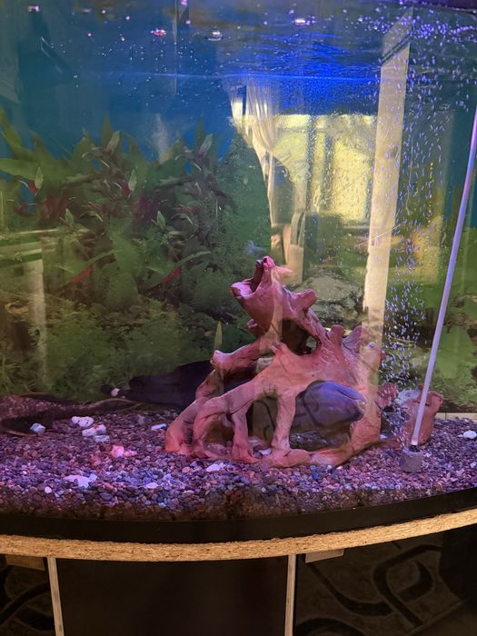 Продам аквариум