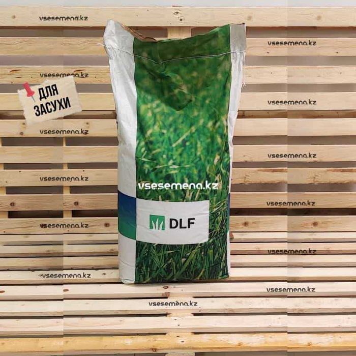 Газон Караганда семена (3 вида на выбор)