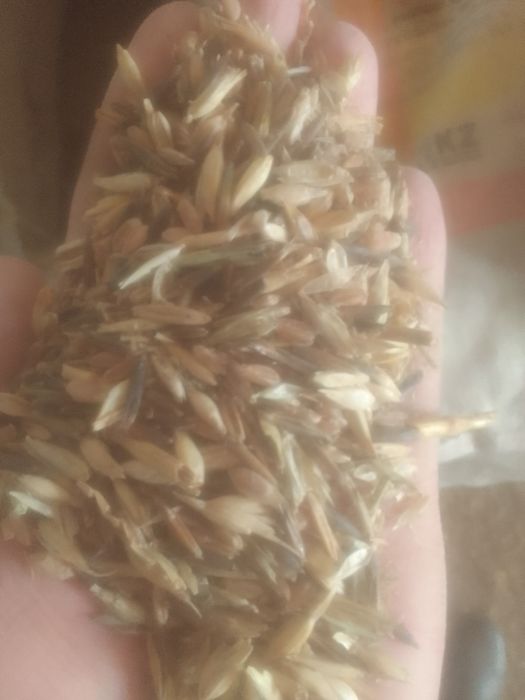 ОТХОДЫ Полова Отруби Овёс