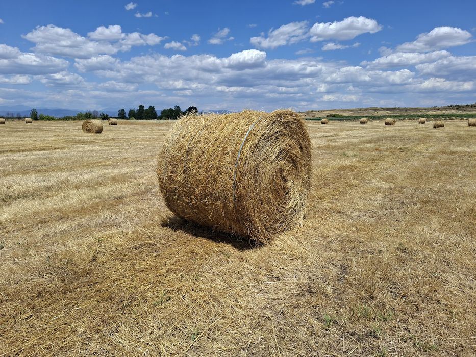 Продавам бали сено рулонки от тази година